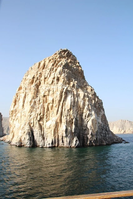 العدالة لا تضيع