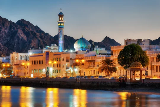 الدعم القانوني